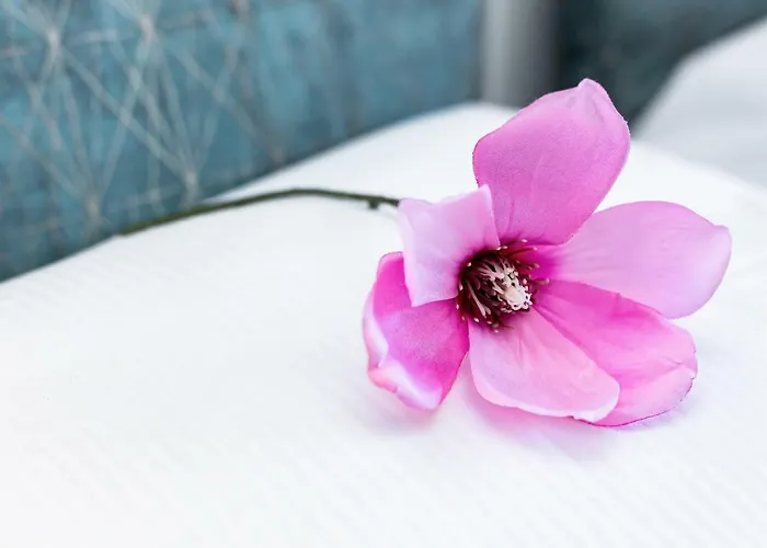 Walonska With Free Parking By Renters *